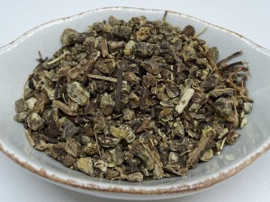 Cimicifuga (Traubensilberkerze) konventionell